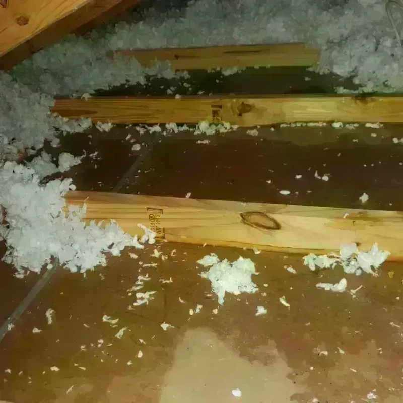 Attic Water Damage in Kitsap County, WA