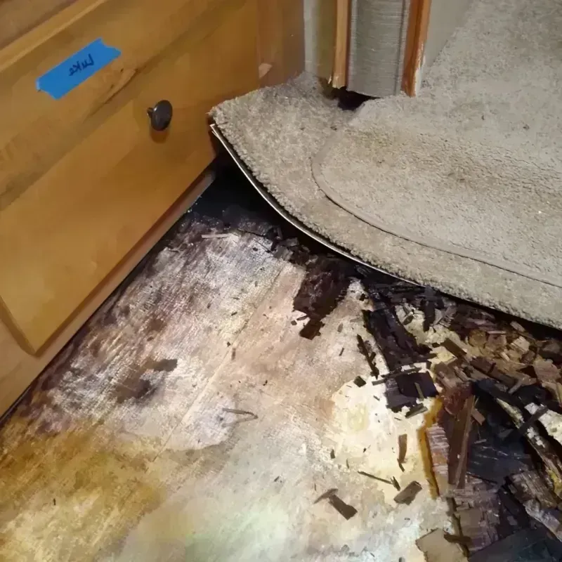 Best Wood Floor Water Damage Service in Kitsap County, WA